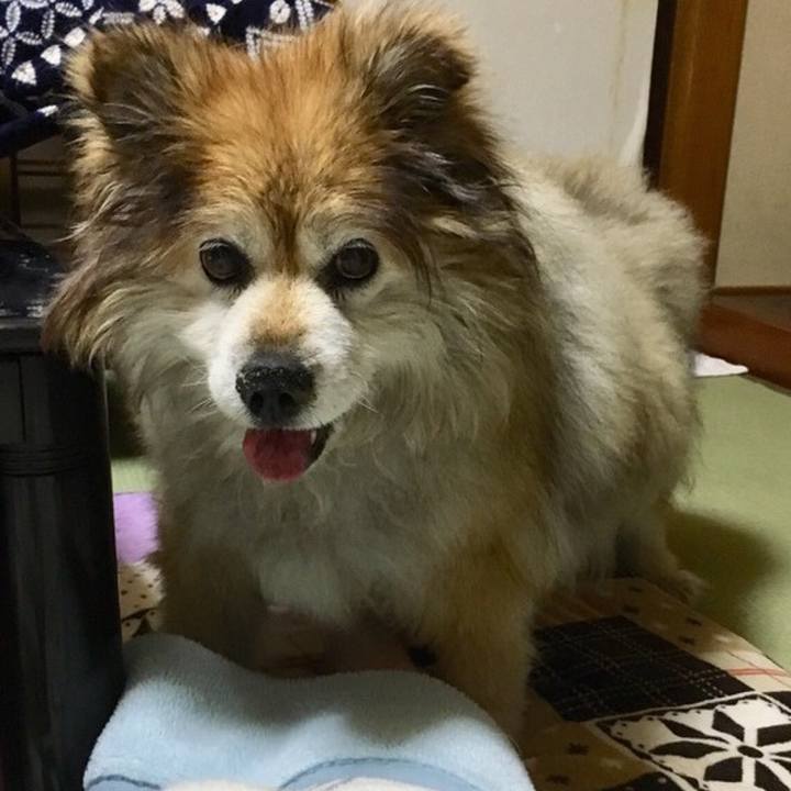 3396d60a bd40 44bd 8bd1 4fa81a6b4ef8 1569316897120