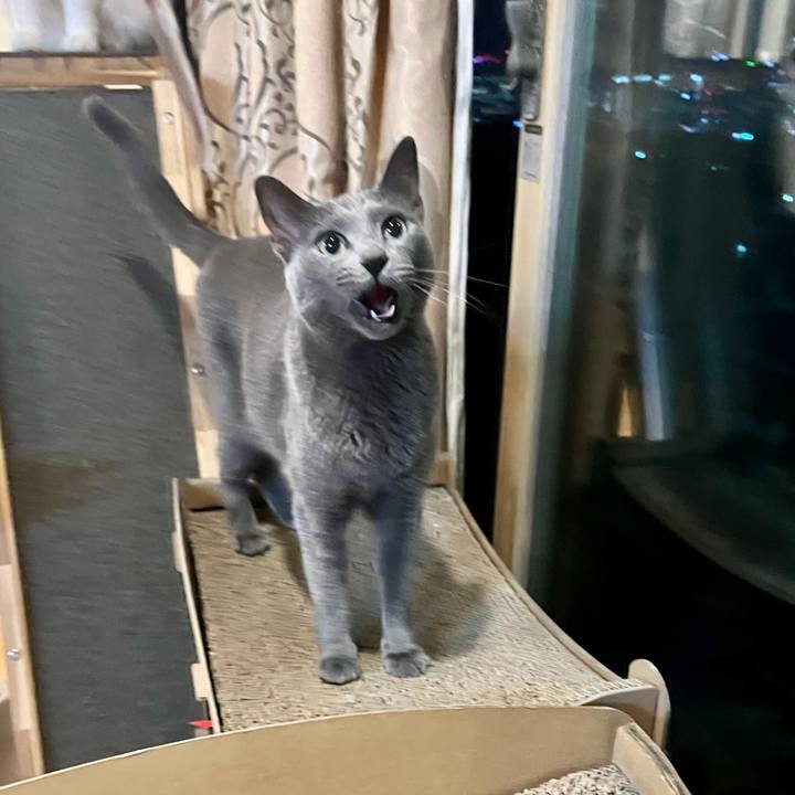 3396daf5 d0a1 4939 b7ff 66158625033f 1667616385454