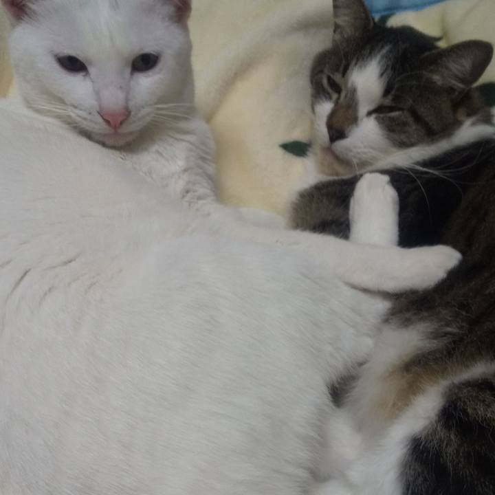 3396e313 b33f 43c6 b9af d8b912db967e 1705240450930