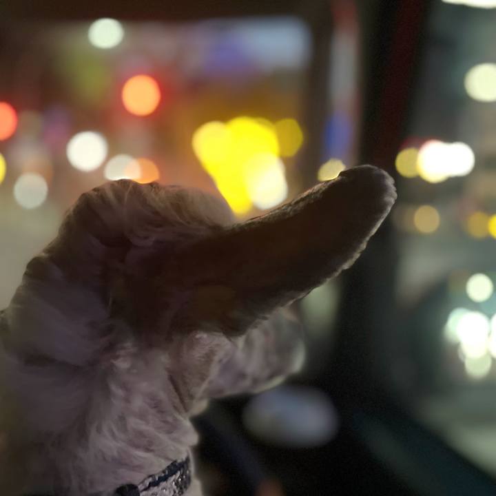 33972248 b52f 489d 9611 bf1468e11986 1763547967896