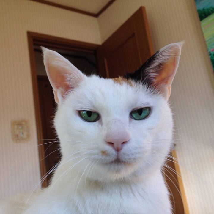 3397965e d82c 46d8 8344 3bb868107705 1542217389190