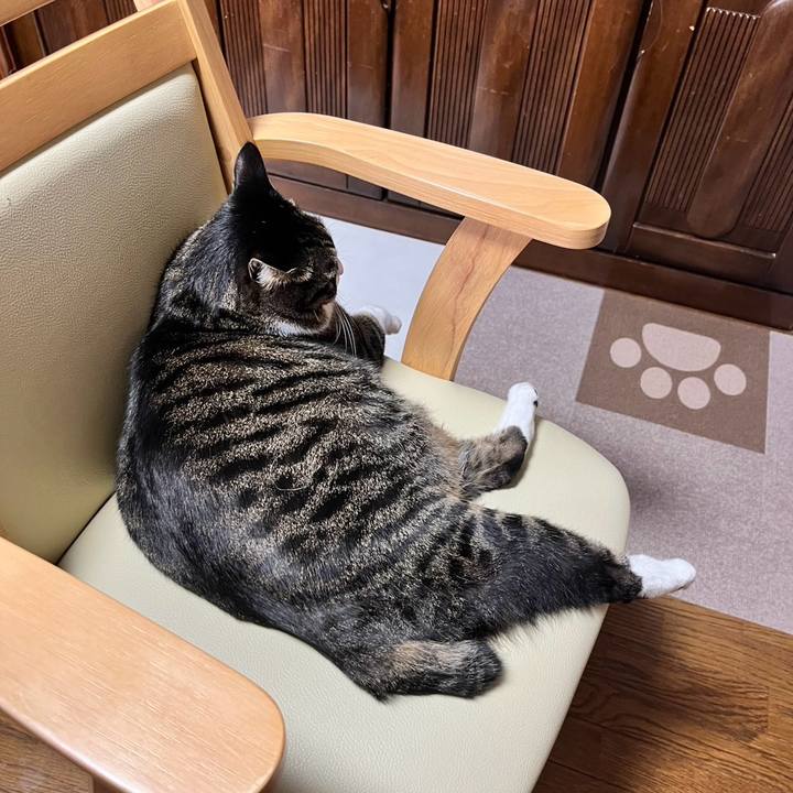 3397a7f0 afb0 4dfa aa1f ced4eb5a5abd 1761611436046