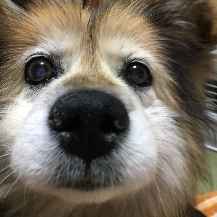 339800e7 94de 44b0 905b 4df3e1f1db0e 1575981520933