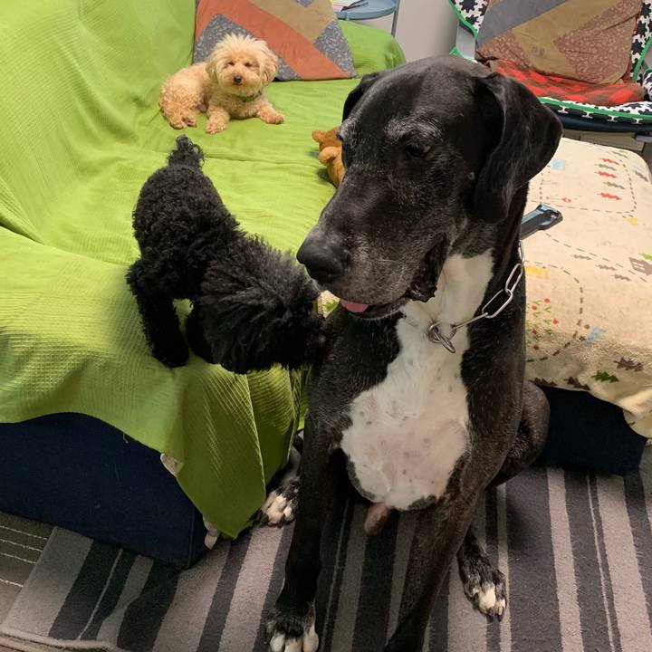 33980cd6 819f 4571 89b5 890badadea23 1559514162057