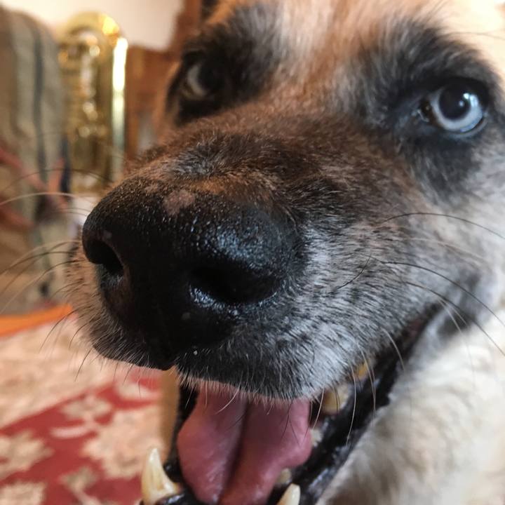 3398253f e7de 4aed 9281 0d0635f9e785 1558709335236