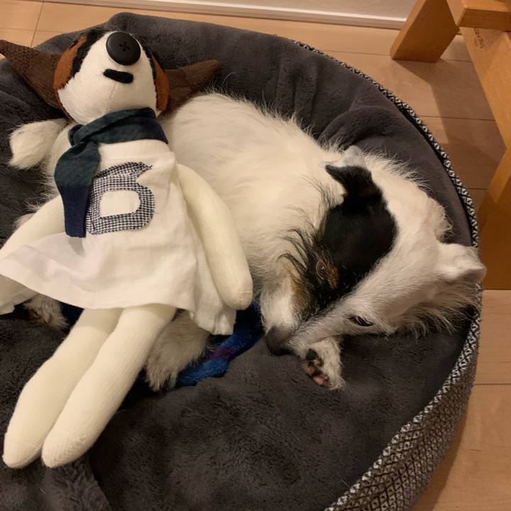 33987e5c 2fbc 4dc7 b41a e19ef5b48b37 1653823608523