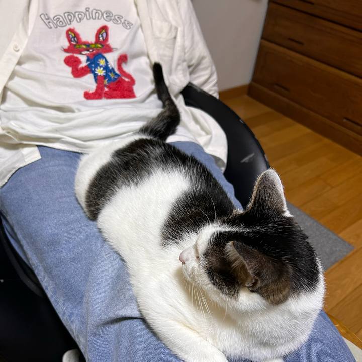 33989a08 91f5 44d2 bb65 4b0f06a844c5 1716033787065