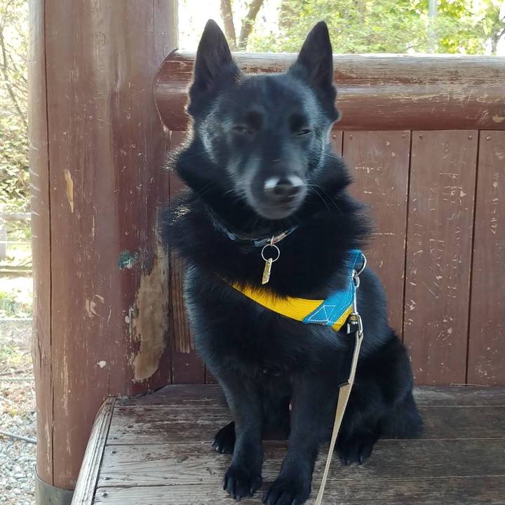 3398b0be 902f 416f b939 a798995217fc 1588368961587