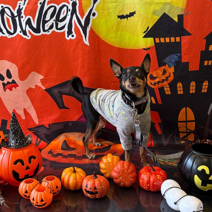 3398be7e ee6e 44be b025 f652c2e92664 1761909692877