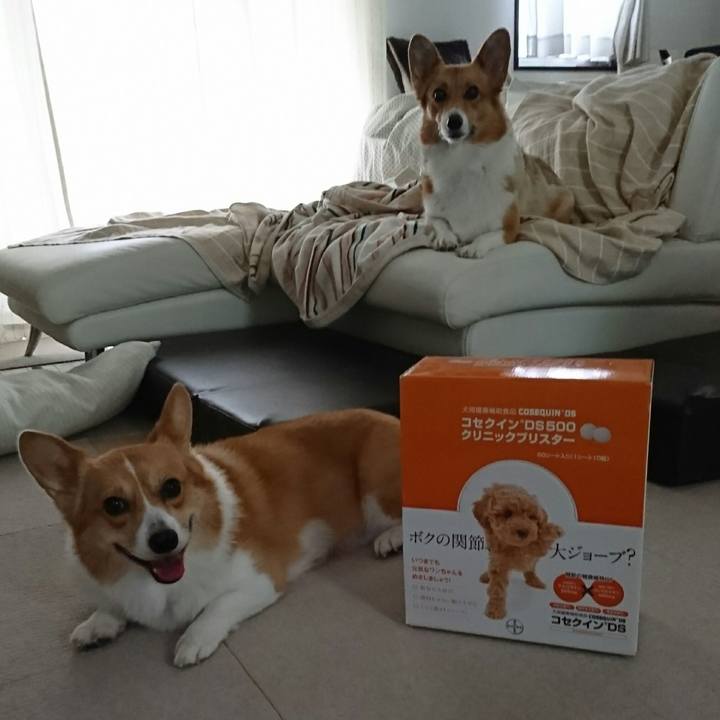 3398cc17 38b4 483a a50d 6639cf05a704 1534465887538