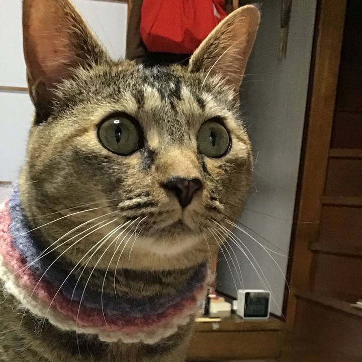 3398e003 7db2 45d4 aa95 51d785c1c319 1625816511476