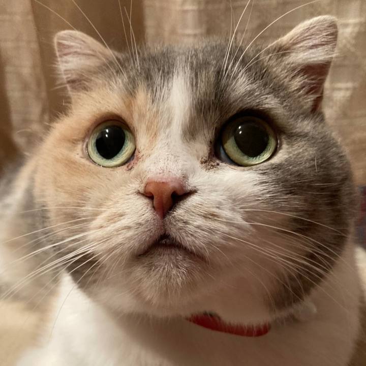 3398e070 08ad 47ad 98bd dc2d34da48f7 1610012980915