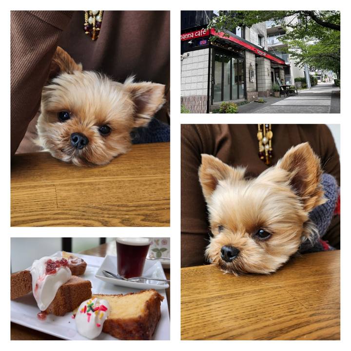 33997e37 0a7b 46b4 8a38 64679aca58cd 1709824643342