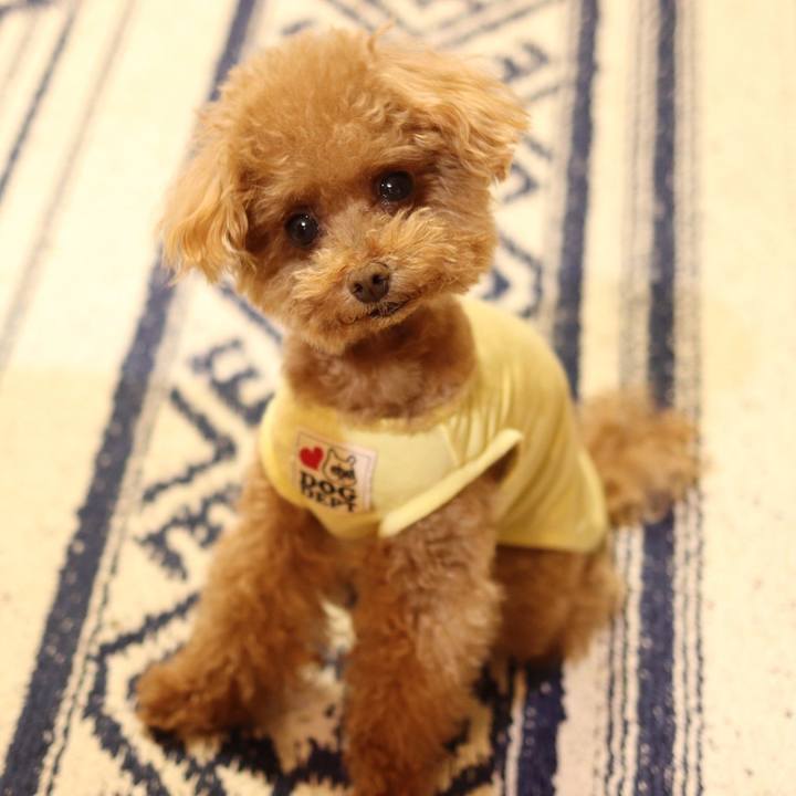 33999539 df34 499c 9fa8 e232f76275fa 1564011377233