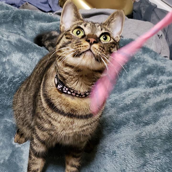 3399a810 f47d 443f 9049 4f21bf700640 1573649501024