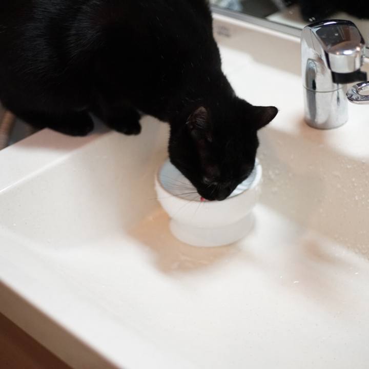 3399afc3 75d4 4bf4 924a 49979fd130d3 1519256299999