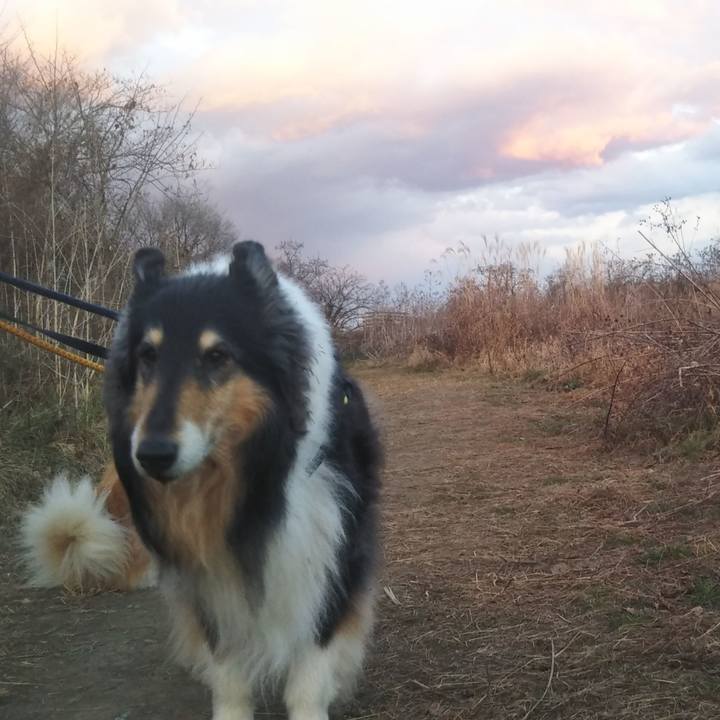 3399c610 4f28 4025 8008 8d81bde2dc04 1608386966500