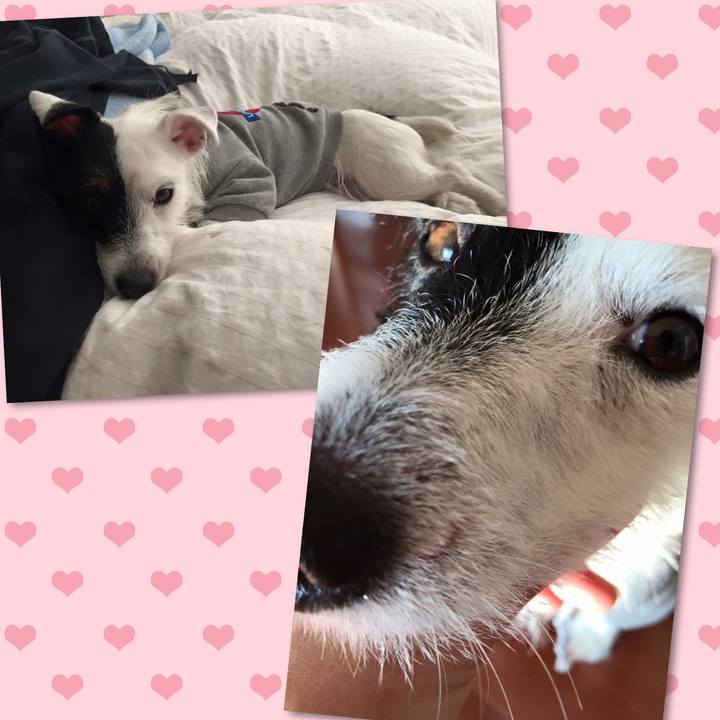 3399cc2e f804 4700 a59a 9580a9f92b7a 1512342072737