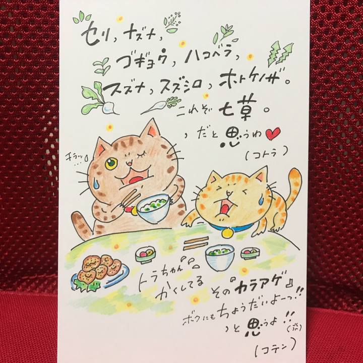 3399e79e 4447 4eb1 b866 3912ef35b0b8 1546870763425