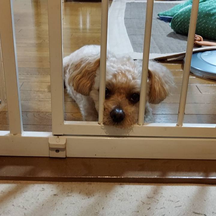 3399fc1b d15f 411d 906c bdbc31aeb448 1625958221167