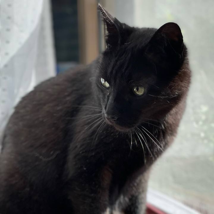 339a5f6f cf86 40b7 b2a6 204f229e20fe 1654562064086