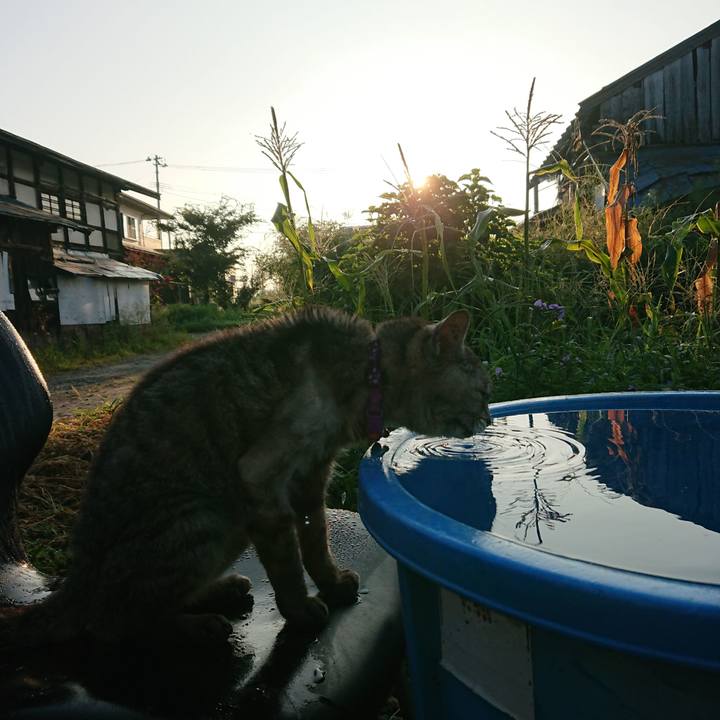 339a7f01 c1bb 49e9 88c7 325f556f1c57 1598475985707