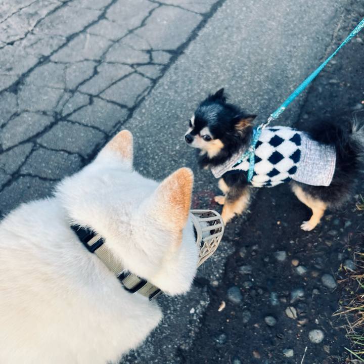 339ae11c 4f01 4e7c b897 34e936ebddb6 1729548383271