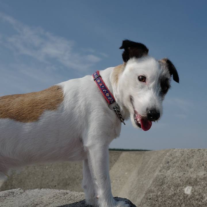 339b1c53 8c34 4041 b270 5230d8bc2a3d 1559622091523