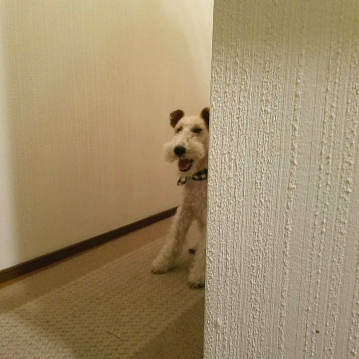 339b27c1 3925 4fa9 b900 a193b9d39b3b 1523024385471