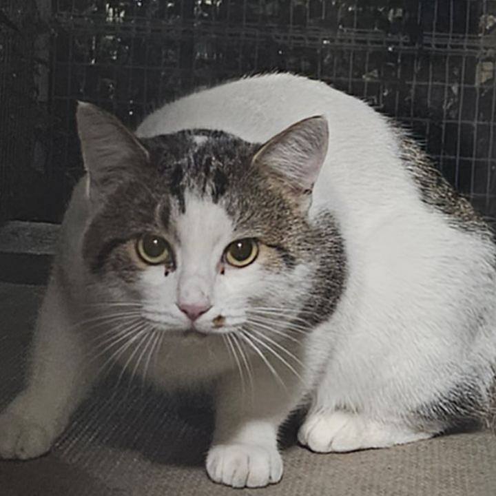 339b4f22 015c 4510 a2b7 88794eade513 1732163315053