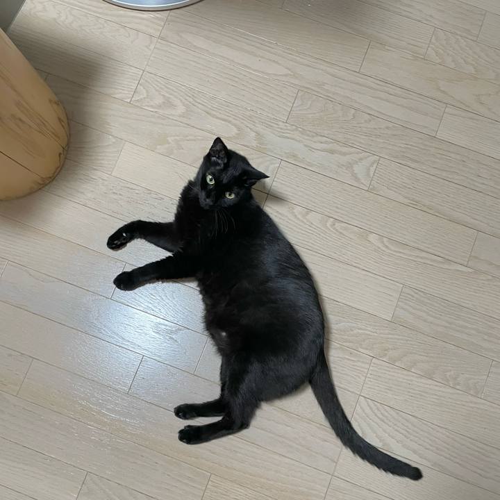 339b9965 1724 4da7 85ab e9374a144e76 1688385297827