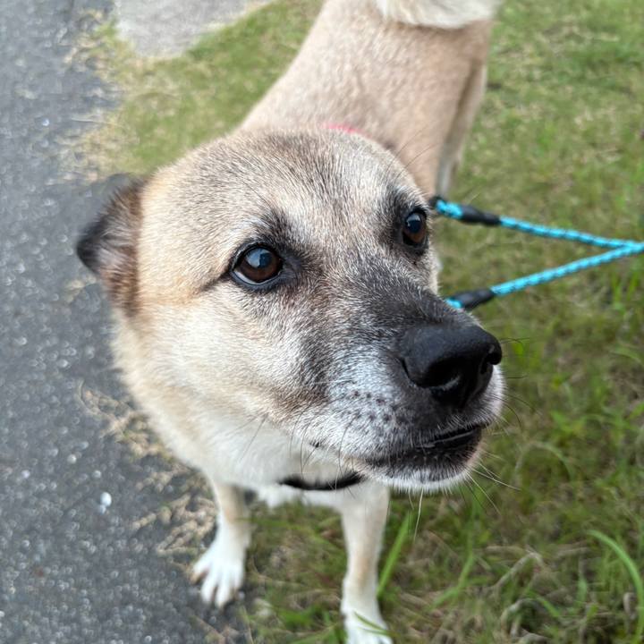 339bcddb 4b49 48db 9861 a161597505eb 1758804601089