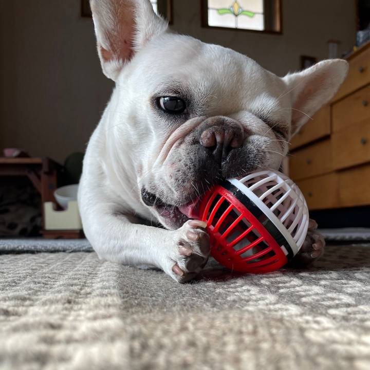 339bd1d9 b11c 4f0c ac43 d8ff4306c747 1759225378747