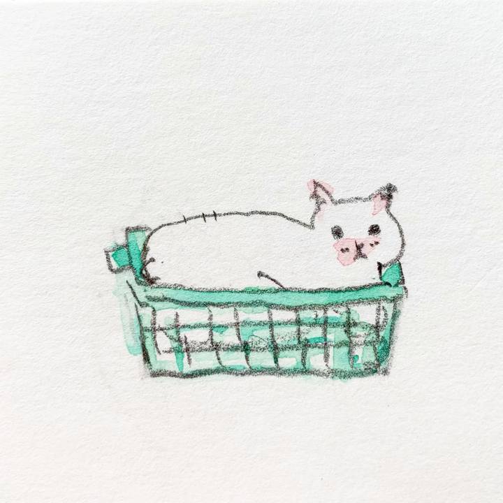 339c0332 b9fc 4591 bff0 d53a0f617ac1 1632697457562