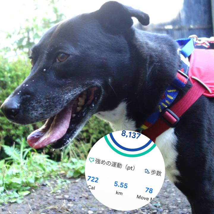 339c2b97 8b3f 43b1 b85d f09038b18b67 1667436387611