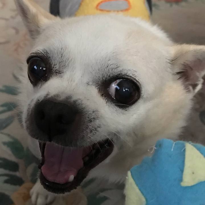 339c39d2 351f 423c a5b0 03b9c49ae2ed 1574079050379