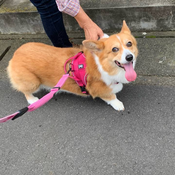 339c4d64 0abb 424b be84 bc41a30b2099 1629933066294