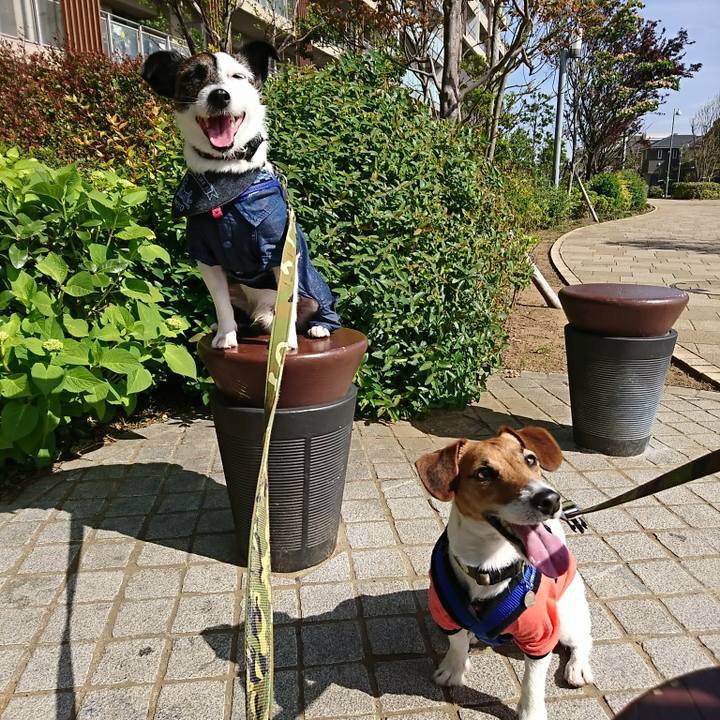 339c530c c7e0 4767 998e 093224cfe9ae 1525595436990