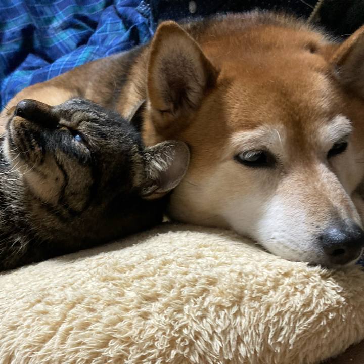 339c5703 5edf 4f0c a885 155b874598d9 1642077752892