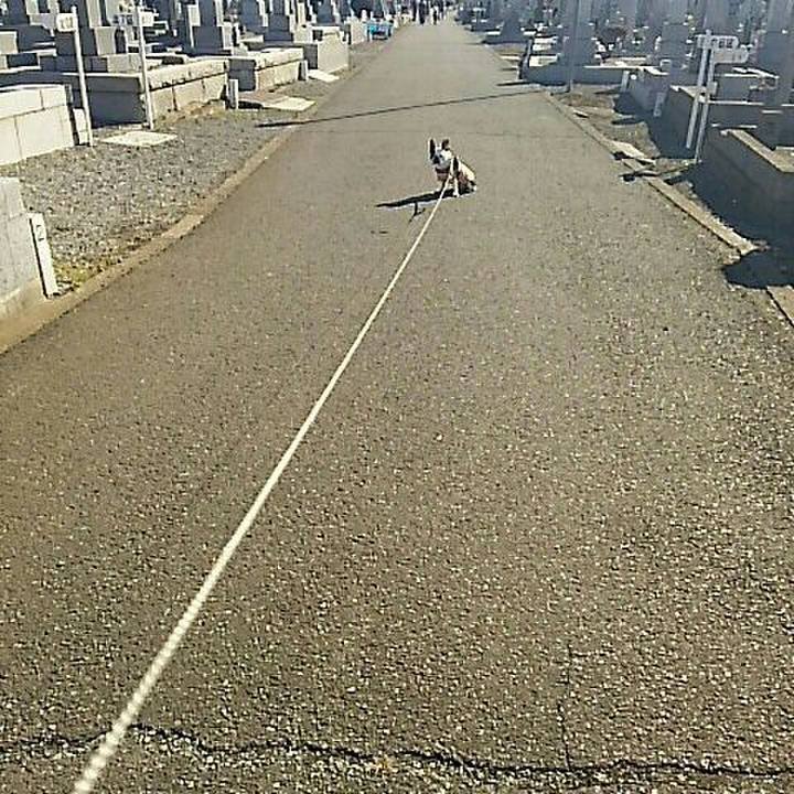 339c5edc 737b 42ff b1a8 677bfd059568 1518319294369