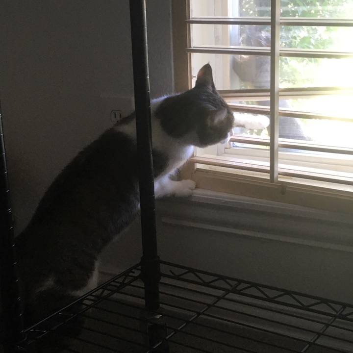 339c6b3c f5a1 43bd b4f8 3be1e3d81170 1658452820836