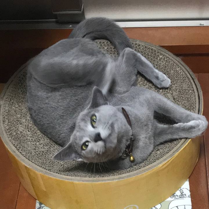 339c7ae3 4807 447a b986 7f8e435012e5 1524492301201