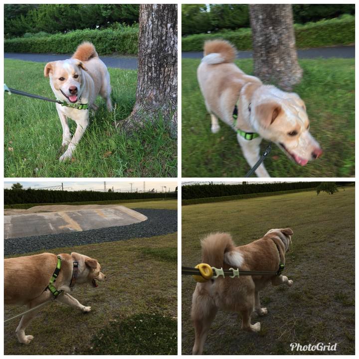 339cd535 1226 4188 8040 35b52ed7b517 1526813762574