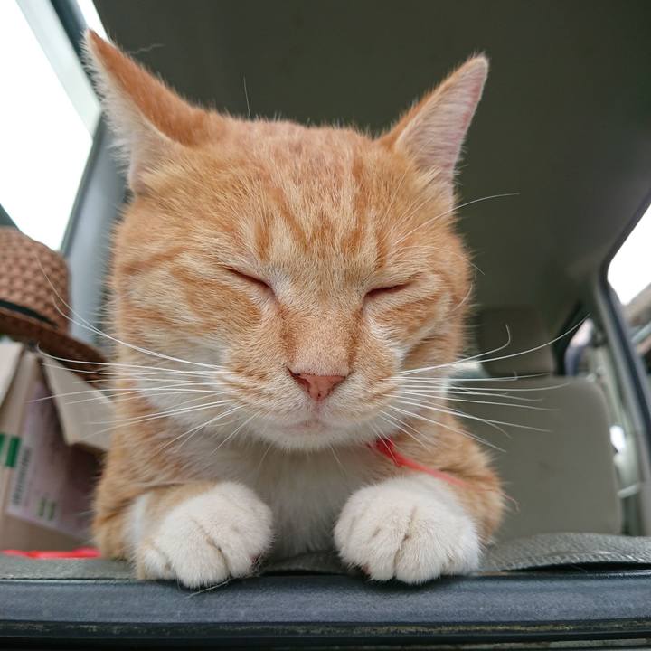 339cd7de 91bf 4ac4 a01e cfe446941ed5 1569221382264