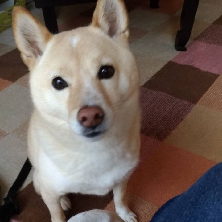 339cd8e3 98de 4e8d a9a7 79f09fa506ff 1607382512565