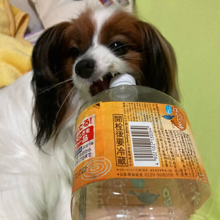 339cd91e 5b62 438a b74e 373c1830c683 1632402735930