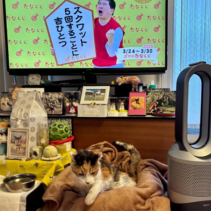 339d0608 b2ef 42ea bfa2 3fc873988327 1742768695134