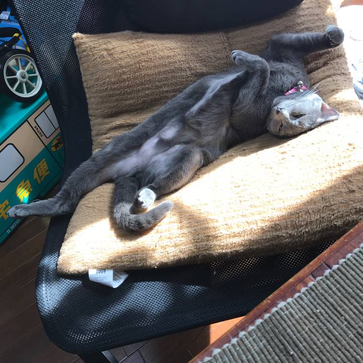 339d459c d0a9 4eb2 8a88 a9496018227f 1541775719737