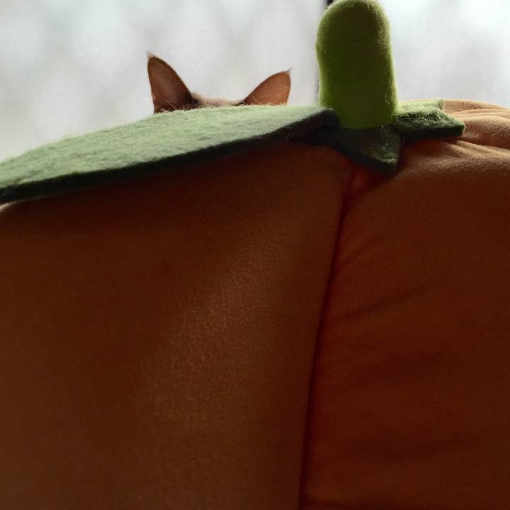 339d5aa0 26e2 4a7b 8925 ba5b0fe0abb3 1547531316422