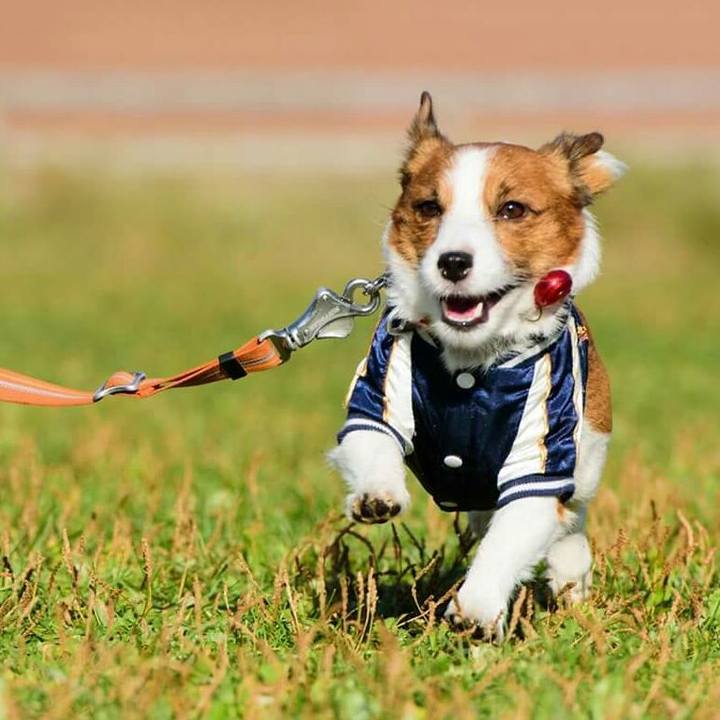 339d6ffc fbcd 48b9 a0a2 4556ea155576 1510392873974